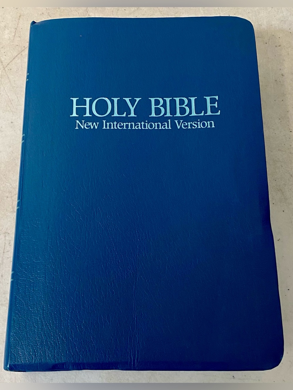 Vintage Holy Bible NIV New International Version Blue 1985 Young Discoverer’s Ed